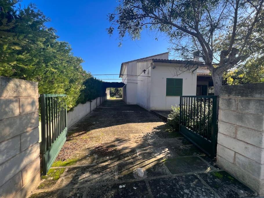 Chalet Con Piscina Sa Rapita Βίλα Εξωτερικό φωτογραφία